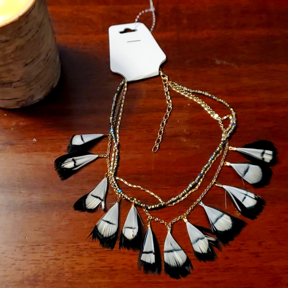 Nwt Feathered Layered choker